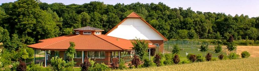 Tierpfleger/in (m/w/d) - Tierheim und Tierpension